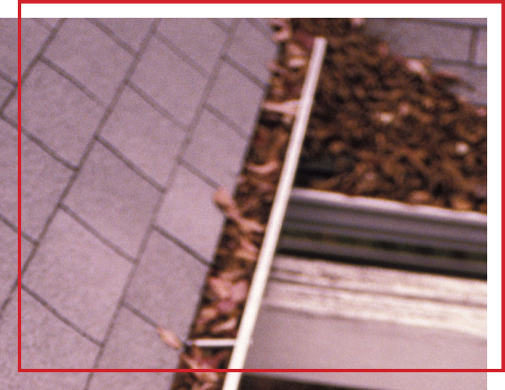 Blog Image for 4 Common Things Damaging Your Roof Shingles