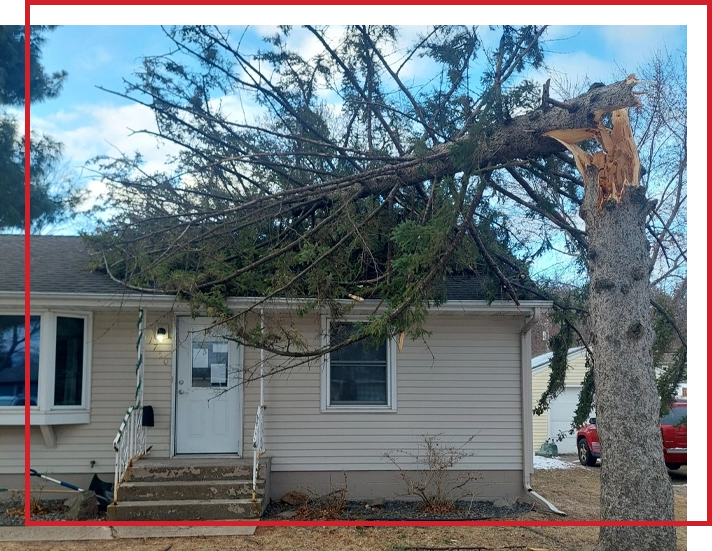 A tree that broke off and fell onto a house’s roof.